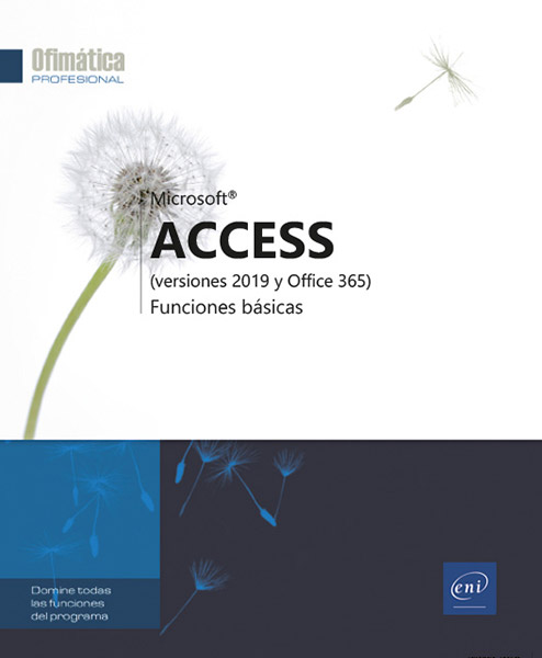 Access 2019 - Funciones básicas