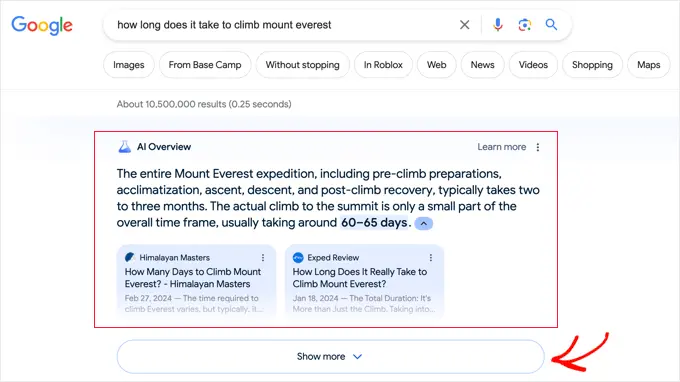 Google AI