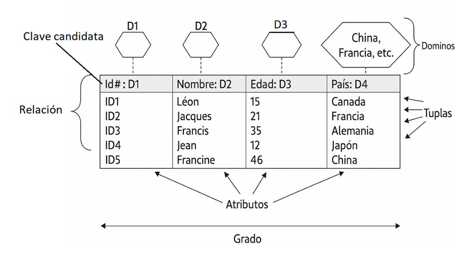 representación de los datos en tablas